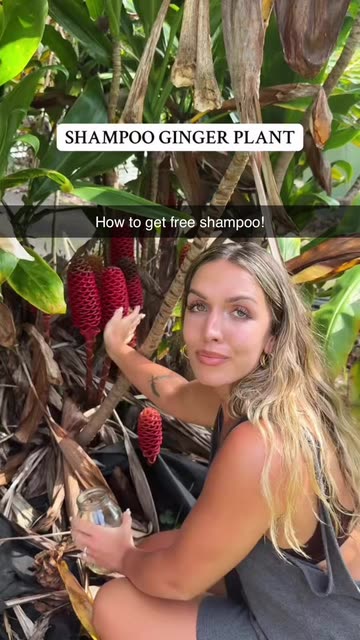 Eco-Nuts